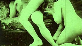 vintage hairy pussy scenes from retro pornostalgia