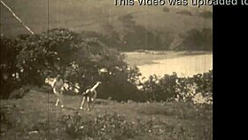 victorian gentleman confesses steamy fucks with vintage hairy beavers