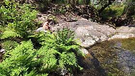 Surprise hunt grabs young curvy mom for beach public rough ass fuck