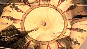 uncovering hairy secrets from vintage 19th century retro antique allure