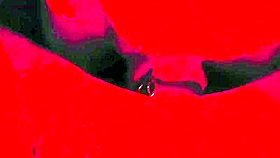 Submissive BBW Blindfolded for Brutal Deepthroat Face Fucking Domination