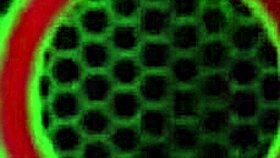 sara jay milf teases pinches her stiff hard nipples