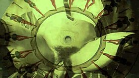 uncovering hairy secrets from vintage 19th century retro antique allure