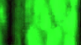 selena the elegant thief sneaks through the night