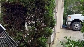 Nakedman15 strips for wild outdoor gardening frenzy!