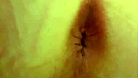 Milf's Gushing Piss And Pulsing Anal Wink For Leetdos