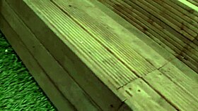 cindy behr paige ashley blonde lesbos... toy each other wet pussies