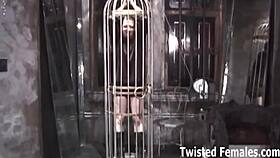 you're going to be my bound femdom pet now! ⛓️😈