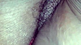 quick home clip from early 2018 casual view