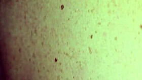 milf bends over screaming as i pound her tight ass hard 🍑💦