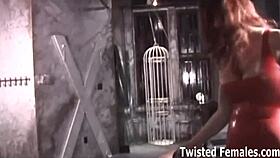 you're going to be my bound femdom pet now! ⛓️😈