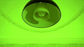 selena the elegant thief sneaks through the night