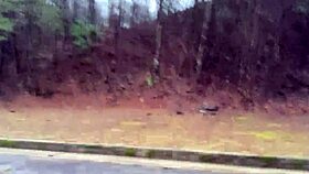 Clitlicker662 flashes hairy pussy outdoors in latest forest update?