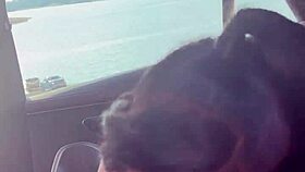 hey watch this sloppy dick sucking action right by the lake