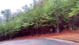 Clitlicker662 flashes hairy pussy outdoors in latest forest update?