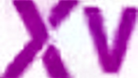 Violeta Garcia's first bbc anal balls deep gaping whore ride