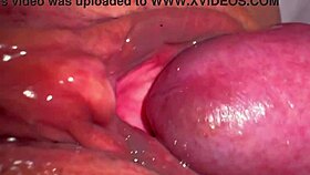 Amateur Japanese wife's shaved pink pussy fucked boldly post-deflowering