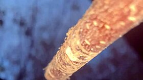 Forest Witch's Tight Pussy Takes Monster Cock Creampie Outdoors