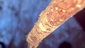 Forest Witch's Tight Pussy Takes Monster Cock Creampie Outdoors