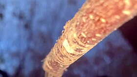 Forest Witch's Tight Pussy Takes Monster Cock Creampie Outdoors