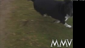 retro erotic harlots suck and fuck massive interracial cocks in blue films hardcore