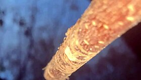 Forest Witch's Tight Pussy Takes Monster Cock Creampie Outdoors