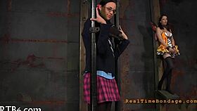 taming the wild leather pet with strict dominance control