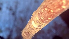 Forest Witch's Tight Pussy Takes Monster Cock Creampie Outdoors