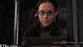 taming the wild leather pet with strict dominance control