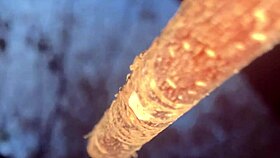 Forest Witch's Tight Pussy Takes Monster Cock Creampie Outdoors