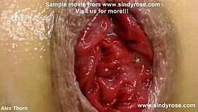 sindy rose endures extreme anal fisting on kitchen table until prolapse