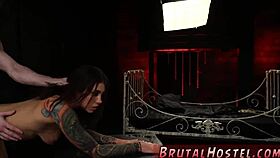 felicity feline begs excitedly in intense bondage