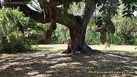 i spot those sneaky voyeurs watching ms paris in park oh wow