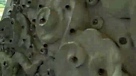 Chiang Rai's Crazy Big Buddha Temple Views in Thailand