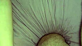 Wife jerks blows fucks till cum-covered asshole 😍🍆💦