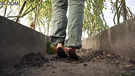 oh damn, squashing juicy tomatoes barefoot in dirty ranch soil!
