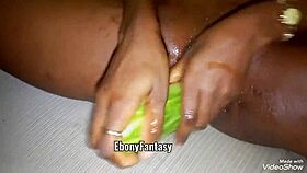 Fresh cucumber play in simple solo scene