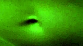 Aline and Flavio Share Intimate Update Moment