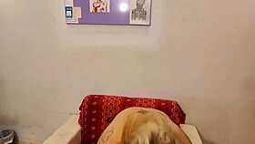 skinny brazilian actress tries first anal casting on camera