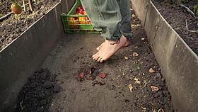 oh damn, squashing juicy tomatoes barefoot in dirty ranch soil!