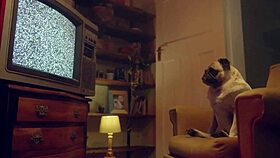 we couldn't resist fucking right in the middle of recording