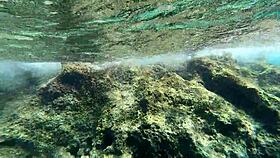 hot milf underwater pounding with juicy cock 😍💦