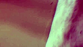 lilly's pointed toes look perfect and elegant in every pose