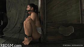 Taming Gagged Lusty Playgirl with Rough Pussy Fuck