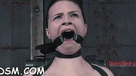 beauty gets her giant racks clamped hardcore while sucking huge cock pov