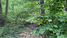 A Random Stranger Feeds Cock for Risky Forest Public Blowjob