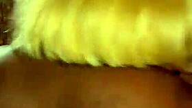 Sundaydogood614 Shares Update 318 Video from July 15 2024!