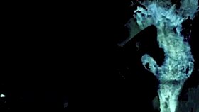 Vintage Threesomes Explore Hairy Pussy Group Beaver Action in Retro