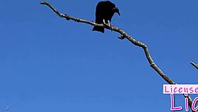 Tarra White Craves Submissive Beach Pussy Licking Rimjob