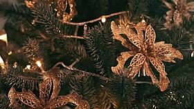 damn, this cute elf nympho gags deep on huge human cock in cosplay